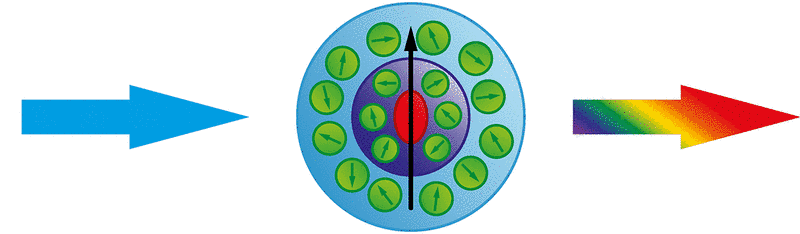 Schematic TSD